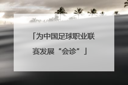 为中国足球职业联赛发展“会诊”