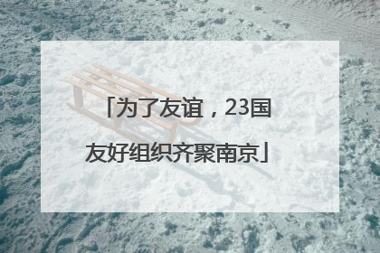 为了友谊，23国友好组织齐聚南京