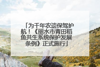 为千年农遗保驾护航！《丽水市青田稻鱼共生系统保护发展条例》正式施行