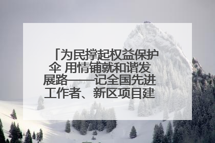 为民撑起权益保护伞 用情铺就和谐发展路——记全国先进工作者、新区项目建设中心干部卢小勇