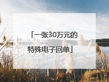 一张30万元的特殊电子回单