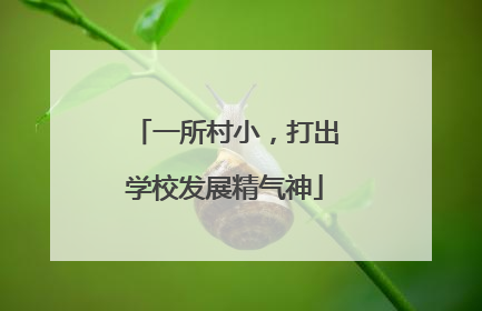 一所村小，打出学校发展精气神