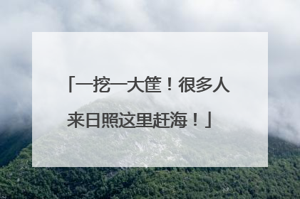 一挖一大筐！很多人来日照这里赶海！