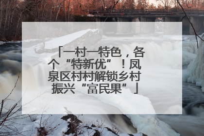 一村一特色，各个“特新优”！凤泉区村村解锁乡村振兴“富民果”