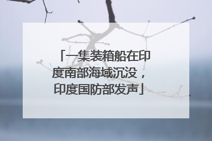 一集装箱船在印度南部海域沉没，印度国防部发声