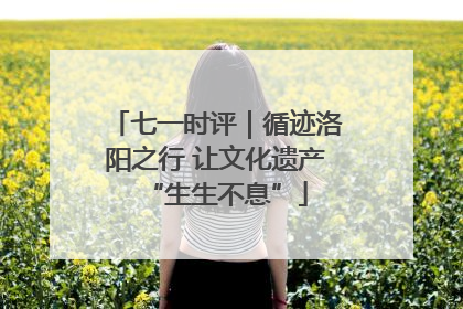 七一时评｜循迹洛阳之行 让文化遗产“生生不息”
