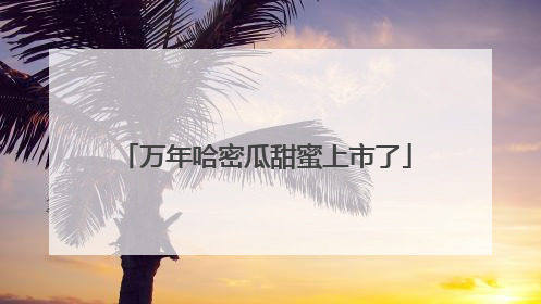 万年哈密瓜甜蜜上市了