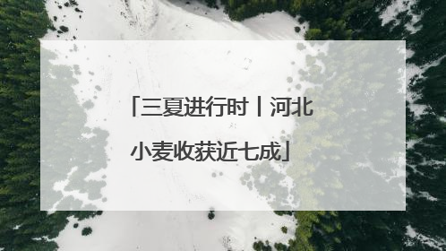 三夏进行时丨河北小麦收获近七成