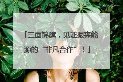 三面锦旗，见证振森能源的“非凡合作”！