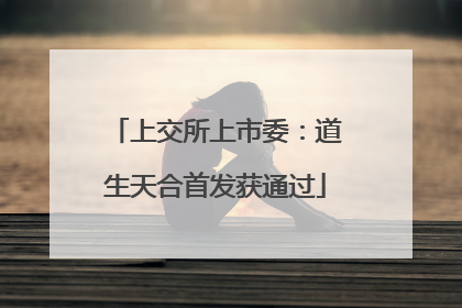 上交所上市委:道生天合首发获通过