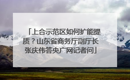 上合示范区如何扩能提质？山东省商务厅副厅长张庆伟答央广网记者问