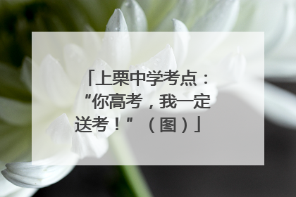 上栗中学考点：“你高考，我一定送考！”（图）