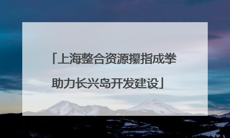 上海整合资源攥指成拳助力长兴岛开发建设