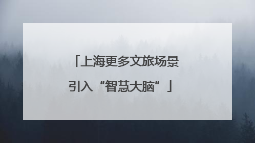 上海更多文旅场景引入“智慧大脑”