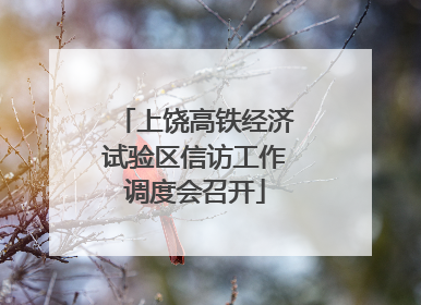 上饶高铁经济试验区信访工作调度会召开