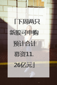 下周两只新股可申购 预计合计募资11.26亿元