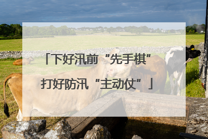 下好汛前“先手棋” 打好防汛“主动仗”