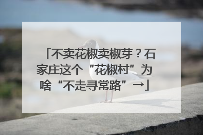 不卖花椒卖椒芽？石家庄这个“花椒村”为啥“不走寻常路”→