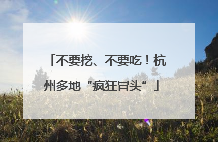 不要挖、不要吃！杭州多地“疯狂冒头”