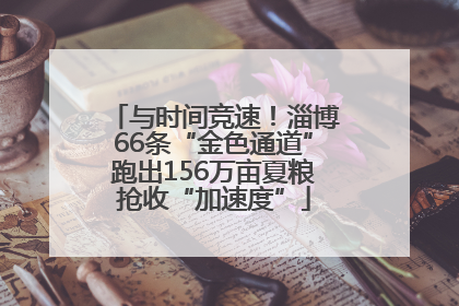 与时间竞速！淄博66条“金色通道”跑出156万亩夏粮抢收“加速度”