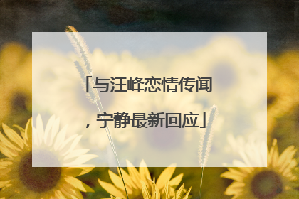 与汪峰恋情传闻，宁静最新回应