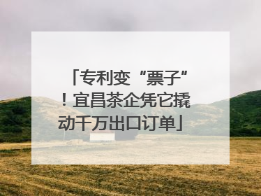 专利变“票子”！宜昌茶企凭它撬动千万出口订单