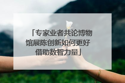 专家业者共论博物馆展陈创新如何更好借助数智力量