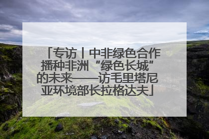 专访丨中非绿色合作播种非洲“绿色长城”的未来——访毛里塔尼亚环境部长拉格达夫