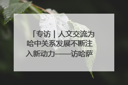 专访｜人文交流为哈中关系发展不断注入新动力——访哈萨克斯坦文化与信息部部长巴拉耶娃