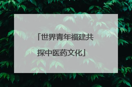 世界青年福建共探中医药文化