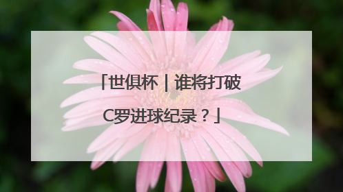 世俱杯｜谁将打破C罗进球纪录？