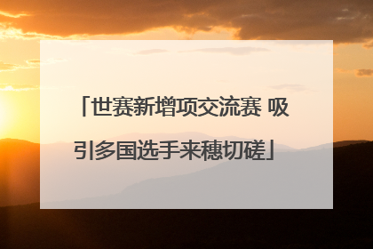 世赛新增项交流赛 吸引多国选手来穗切磋