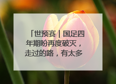 世预赛｜国足四年期盼再度破灭，走过的路，有太多的“意难平”