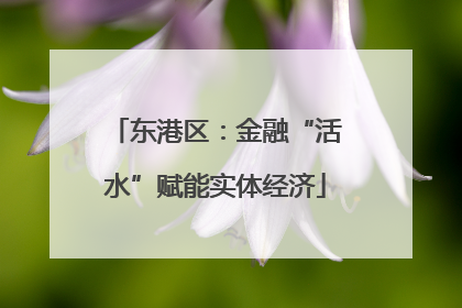 东港区：金融“活水”赋能实体经济
