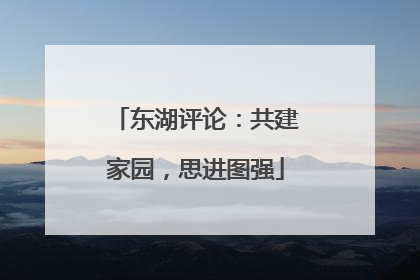 东湖评论：共建家园，思进图强