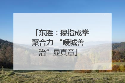 东胜：攥指成拳聚合力 “暖城善治”显真章