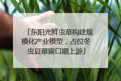 东阳光鲜虫草构建规模化产业模型，占位冬虫夏草窗口期上游