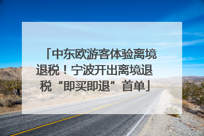 中东欧游客体验离境退税！宁波开出离境退税“即买即退”首单
