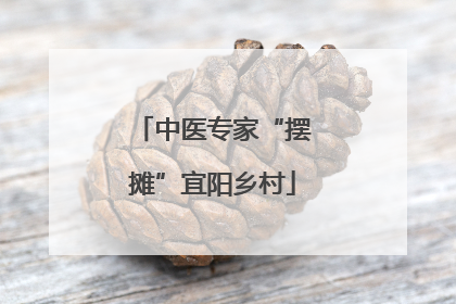 中医专家“摆摊”宜阳乡村