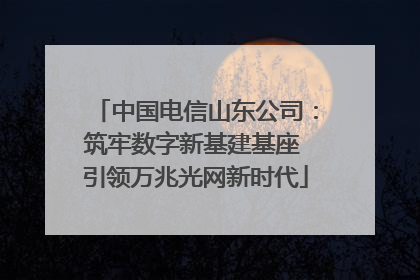 中国电信山东公司：筑牢数字新基建基座 引领万兆光网新时代