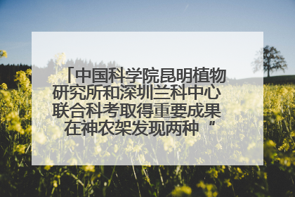 中国科学院昆明植物研究所和深圳兰科中心联合科考取得重要成果 在神农架发现两种“国保”级兰花