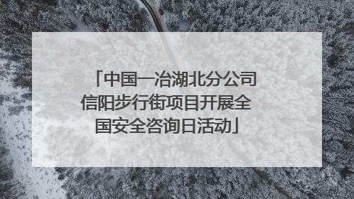 中国一冶湖北分公司信阳步行街项目开展全国安全咨询日活动