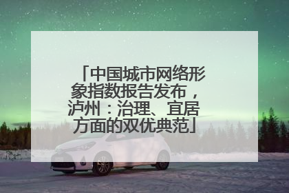 中国城市网络形象指数报告发布，泸州：治理、宜居方面的双优典范