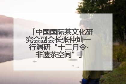 中国国际茶文化研究会副会长张仲灿一行调研“十二月令·非遗茶空间”