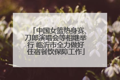 中国女篮热身赛、刀郎演唱会等相继举行 临沂市全力做好住宿餐饮保障工作