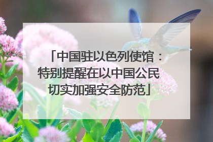 中国驻以色列使馆：特别提醒在以中国公民切实加强安全防范