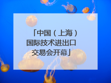 中国（上海）国际技术进出口交易会开幕