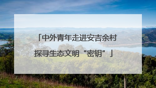 中外青年走进安吉余村探寻生态文明“密钥”