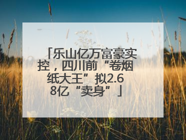 乐山亿万富豪实控，四川前“卷烟纸大王”拟2.68亿“卖身”