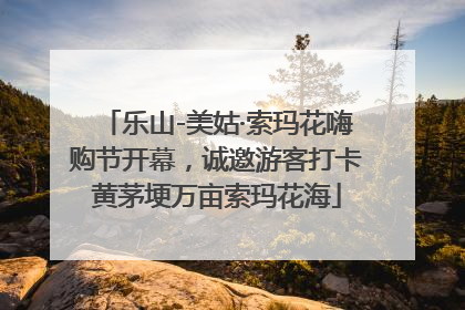 乐山-美姑·索玛花嗨购节开幕，诚邀游客打卡黄茅埂万亩索玛花海